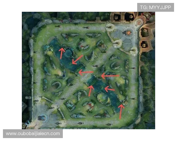 王者荣耀三株路视野控制与资源争夺的实用技巧分享